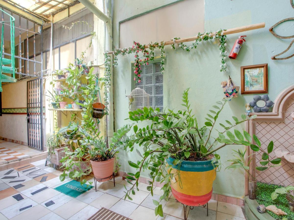 Oyo Hotel Casa Ada 지와타네호 외부 사진